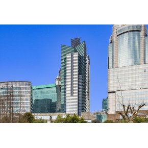 上海胜康廖氏大厦详情-商城路738号