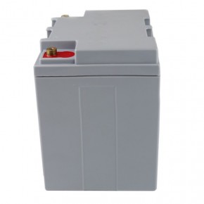 雄狮蓄电池50AH-12V 12V50AH铅酸阀控密封机房设备备用电源免维护