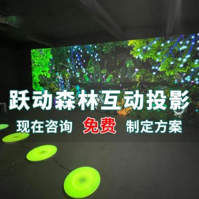 跳跃精灵互动投影景区文旅夜游光影新项目