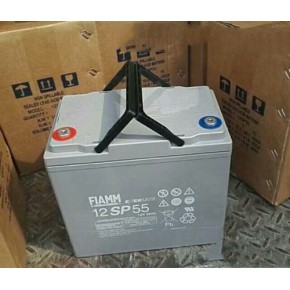 意大利FIAMM非凡蓄电池12SP55非凡FIAMM蓄电池12v55Ah应急系统照明太阳能储电池报价