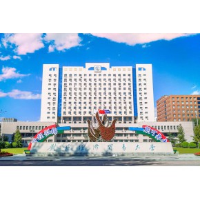 对外经济贸易大学毕业证有复印件可以补吗